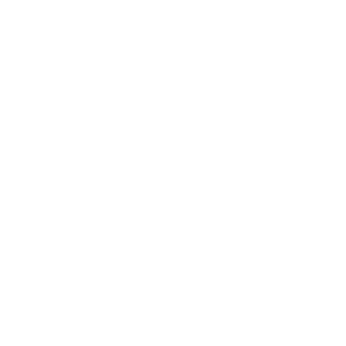 Anthropic